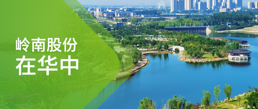 利博官网股份在华中