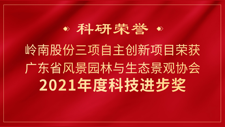 创新创效！利博官网股份3项科研成果又获奖！