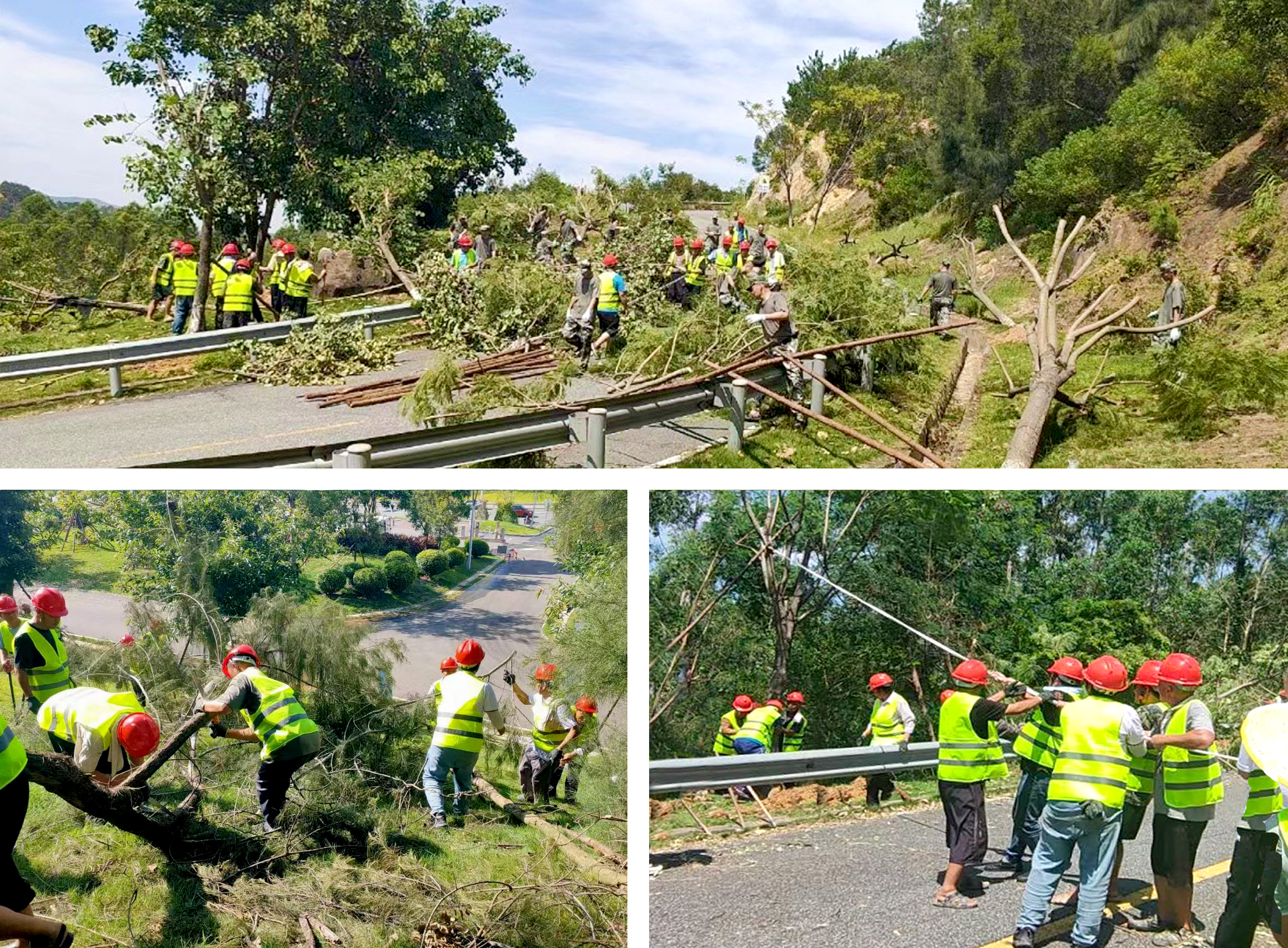利博官网股份收到一封来自泉州的感谢信！